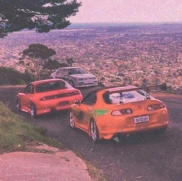 3Lj6P0uQ7rXWrlrocV