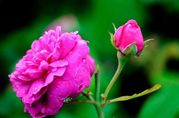 file_90764490