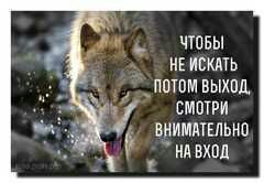 file_75289915