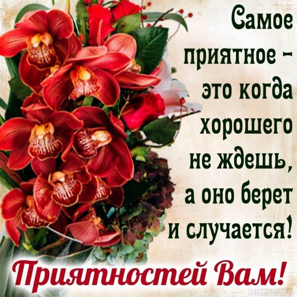 IMG-20240209-WA0008