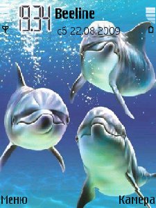 Dolphin
