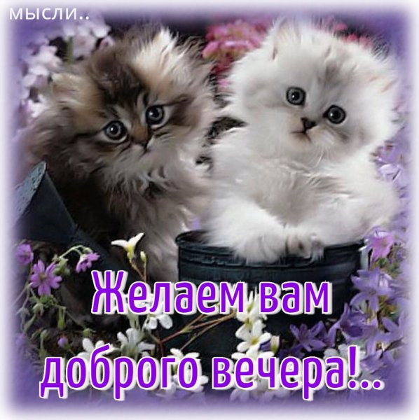 31khav4wS s