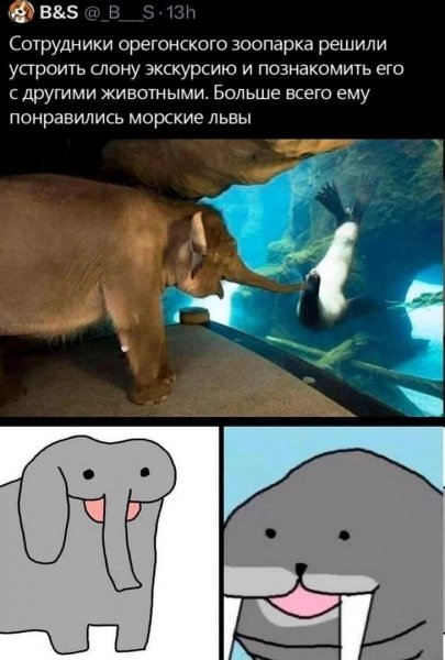 file_98128644