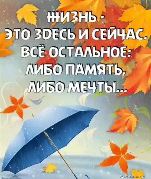 IMG -