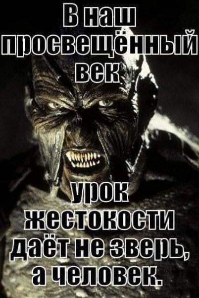 FB IMG 1604573387075