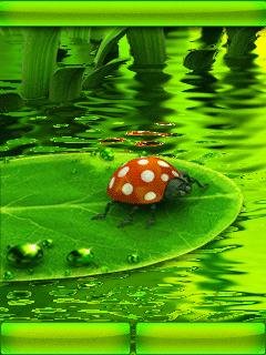Green Breeze