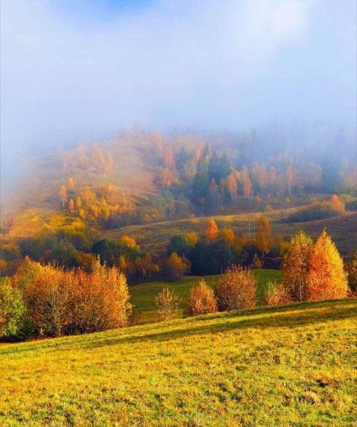 Пейзаж