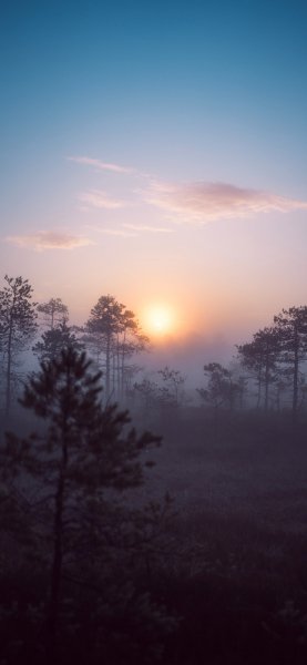 file_95058156