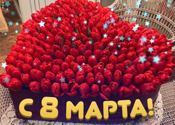 S-8-marta-45446