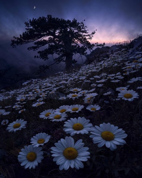 file_91745256