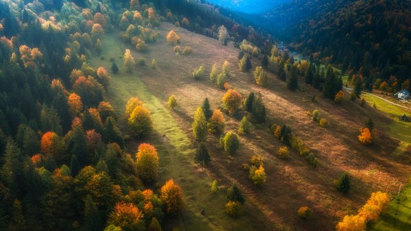 file_103155034