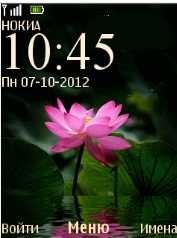 Pink Lotus