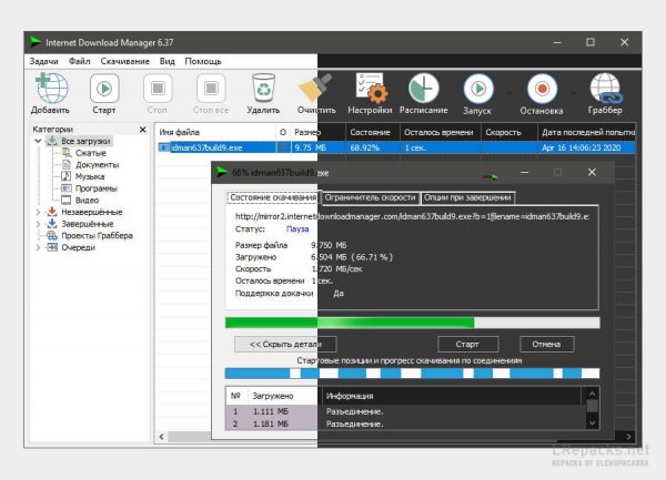 Internet Download Manager 6.42.29 (Repack)