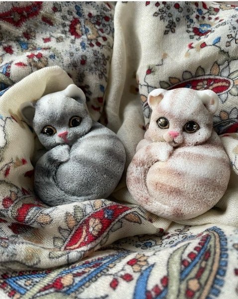 Котики