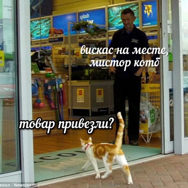 file_100838911