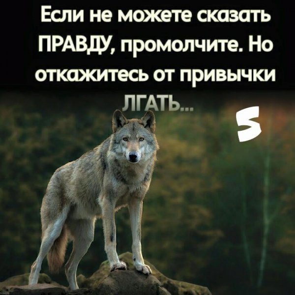 Промолчите