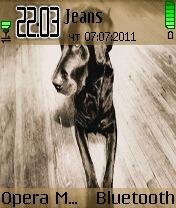 Theme17 0 1