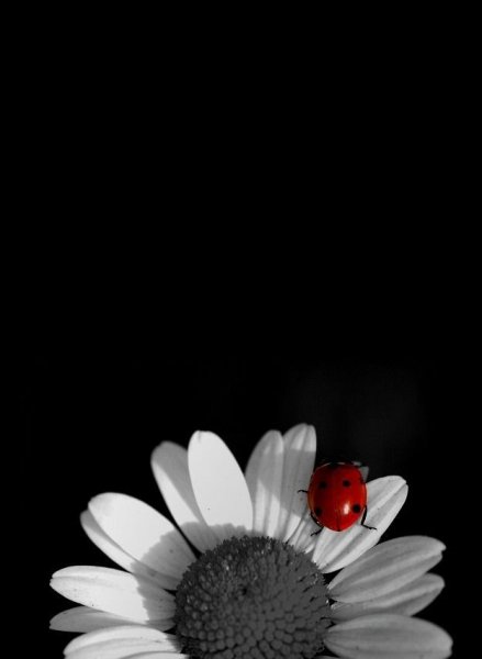 file_90752097