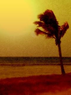 Desert