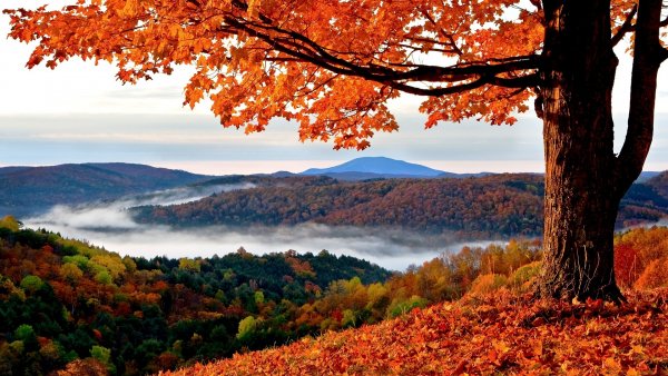 Autumn Fall Mountain Scenery