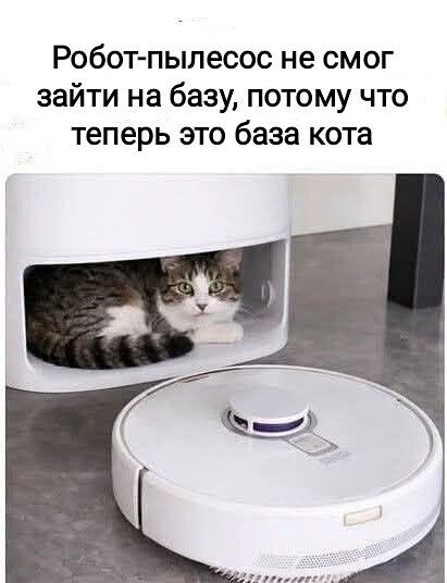 IMG 20260719 134724