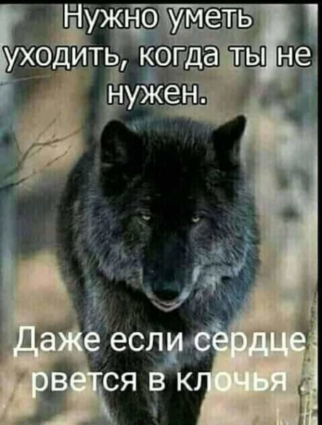 IMG 20210716 173712