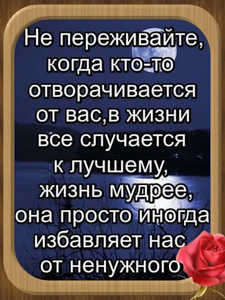 Жизнь мудрее