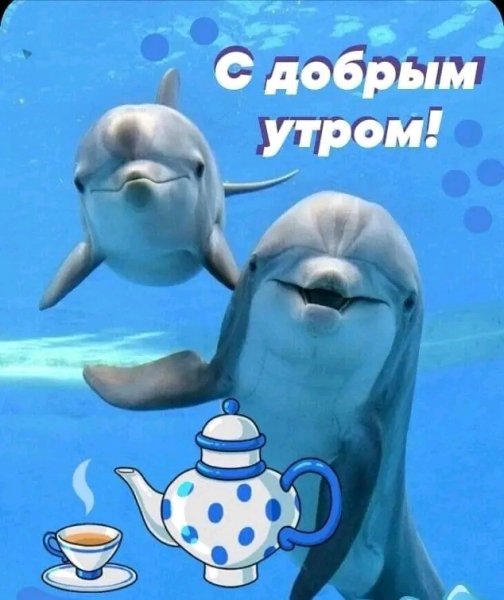 file_95715300