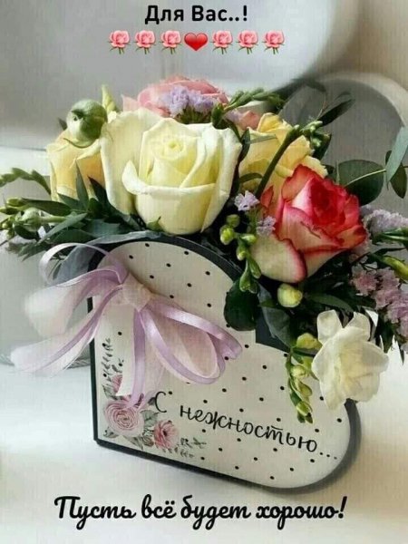 FB IMG 1636476528973