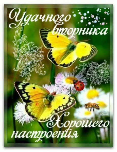 file_90840231