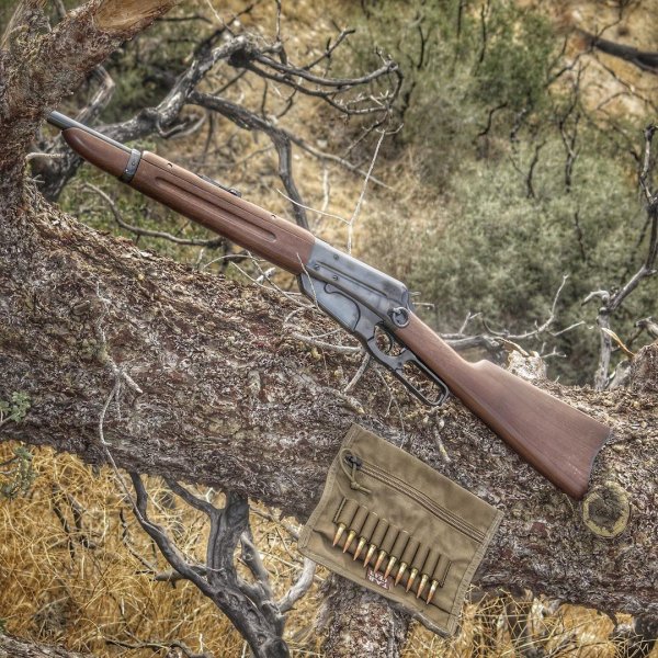 WINCHESTER MODEL 1895