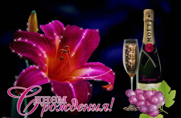 image (7)