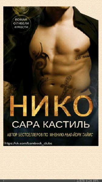 Сара Кастиль. Нико.lp-316031