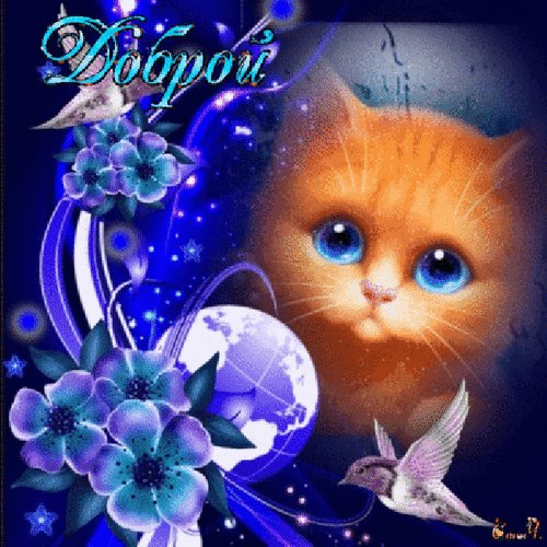 доброй вам ночи