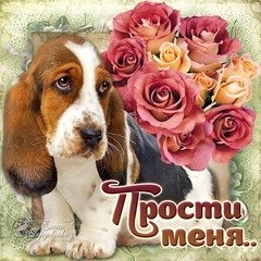 Прости меня..