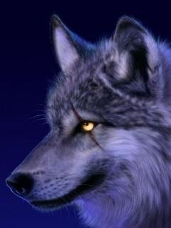 Woolf