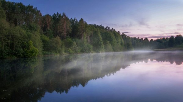 file_97229111