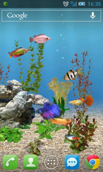 7baRu aquarium-lwp-v2-4-8-full 941051