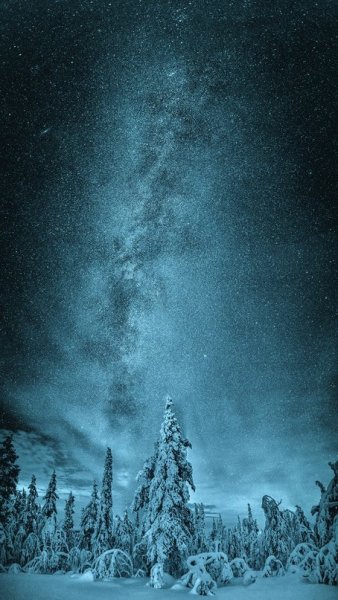 Обои на WP Ночное небо