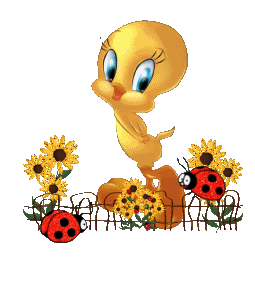 CUTE TWEETY BIRD !!