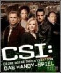СSI The mobile game 176x208 RUS