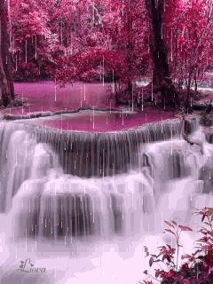 file_58704247