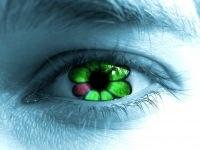 Fake icq