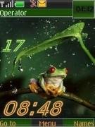 frog swf