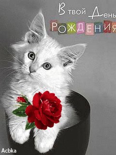 file_60487689