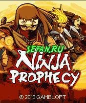 Ninja Prophecy 240 nok