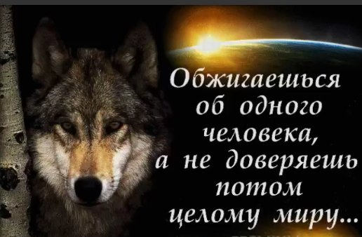 Волк