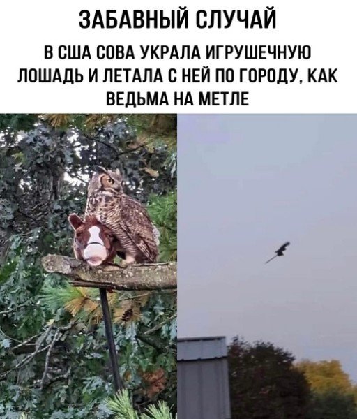 file_95630194