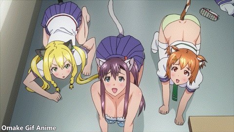 Kodama Himegami,Kodama Himegami,Inaho Kushiya