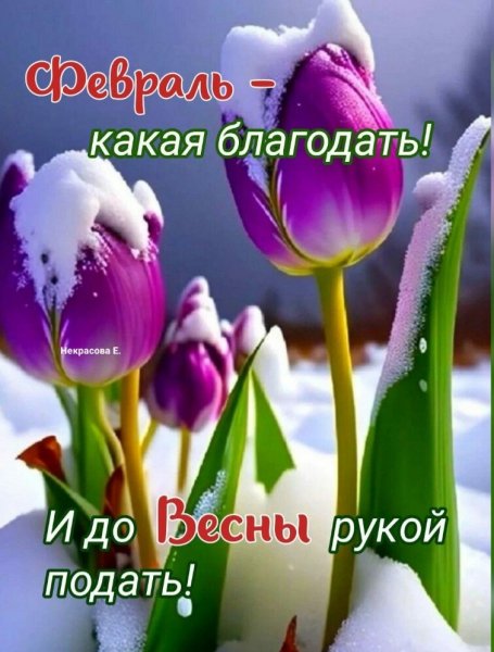IMG 20240224 002523